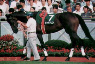 �q�V�A�}�]��