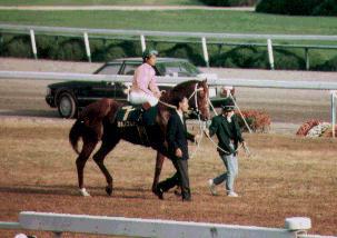 �~�z�m�u���{��