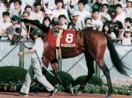 �}�C���W�����k