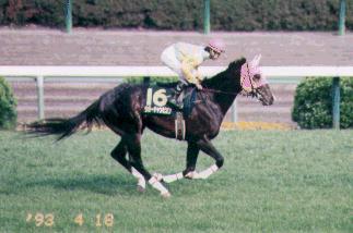 ���K�[�`�����s�I��