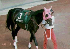 ���K�[�`�����s�I��