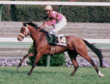 �i���^�^�C�V��