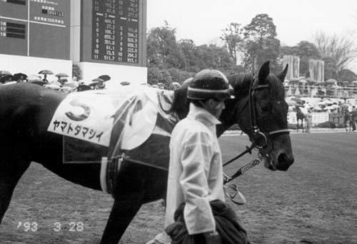 ���}�g�_�}�V�C