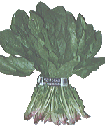 �z�E�����\�E