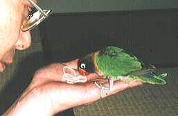 ���{�\�o��H�ׂĂ���Ƃ���