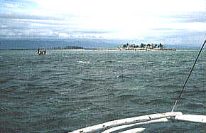 �T���S�ʂ̓�