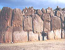 �T�N�T�C���}�����