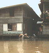 ��̏�̖��ƂƔ���H���􂤐l�X