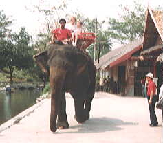 �q���悹�ĕ�����