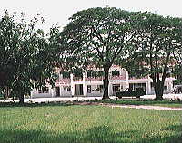 ���Q������m���ƃX�[�p�[�}�[�P�b�g